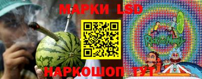 скорость Бийск
