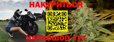сатива Беслан