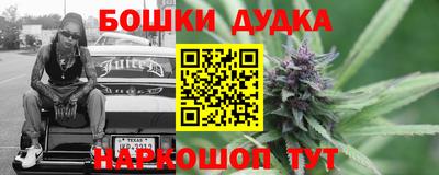 сатива Беслан