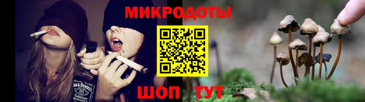 где купить   Вход с VPN  Карпинск  Псилоцибиновые грибы мицелий  Псилоцибиновые грибы Psilocybine cubensis 